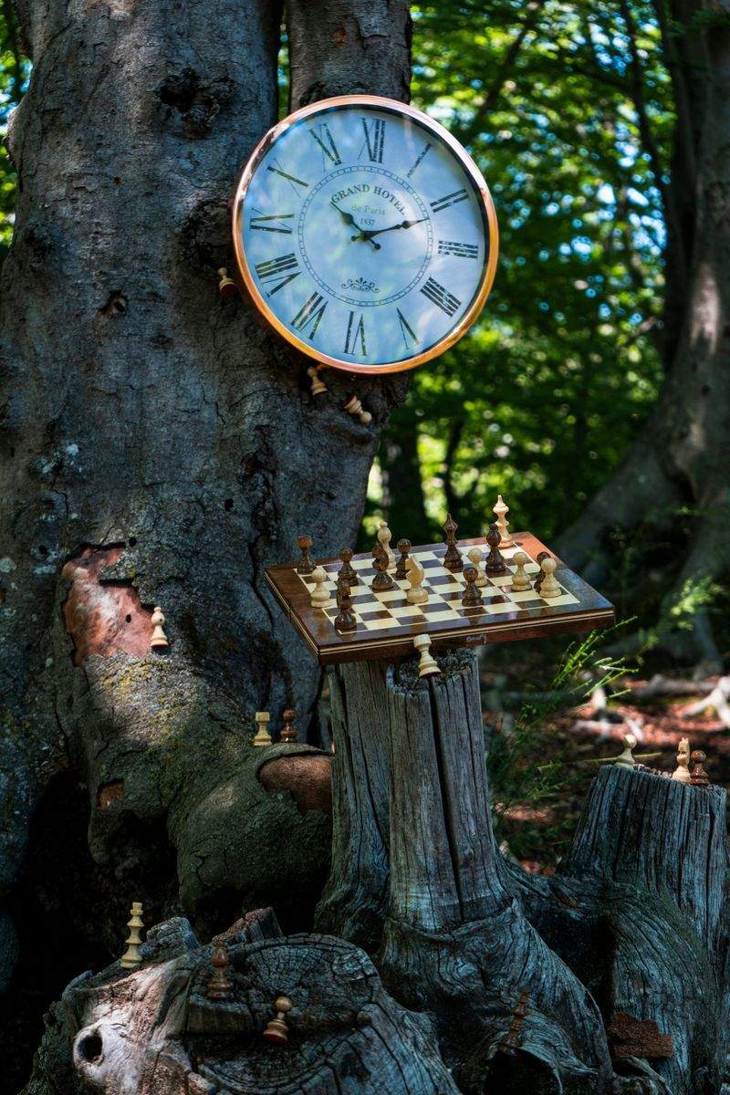 チェスアートジャパン株式会社 - Image 1