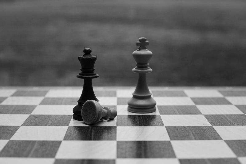 チェスアートジャパン株式会社 - Image 13